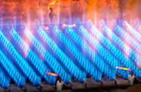 Pontamman gas fired boilers